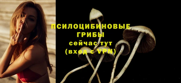 первитин Нязепетровск