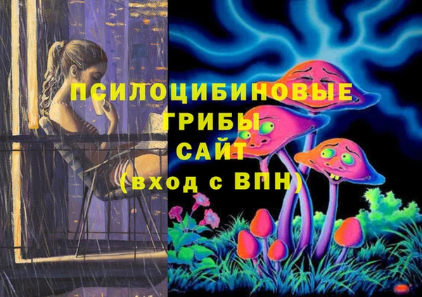 соль ск Нягань