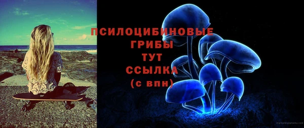соль ск Нягань